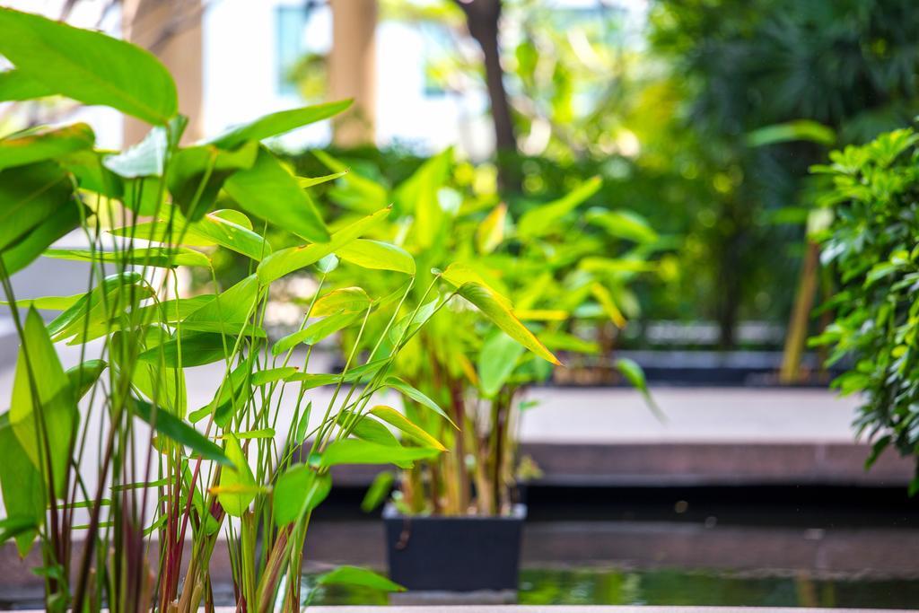 The Capital Resort @ Sukhumvit 50 Μπανγκόκ Εξωτερικό φωτογραφία Plants in a water garden